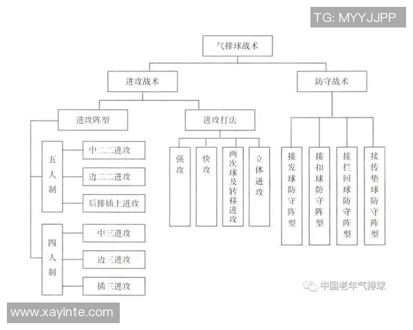 上海排球队中路突破策略分析与战术创新探讨 上海排球队中路突破策略分析与战术创新探讨