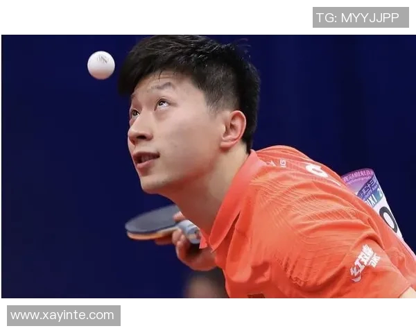 专访乒乓球明星刘磊揭秘他成功背后的训练与心路历程 专访乒乓球明星刘磊揭秘他成功背后的训练与心路历程
